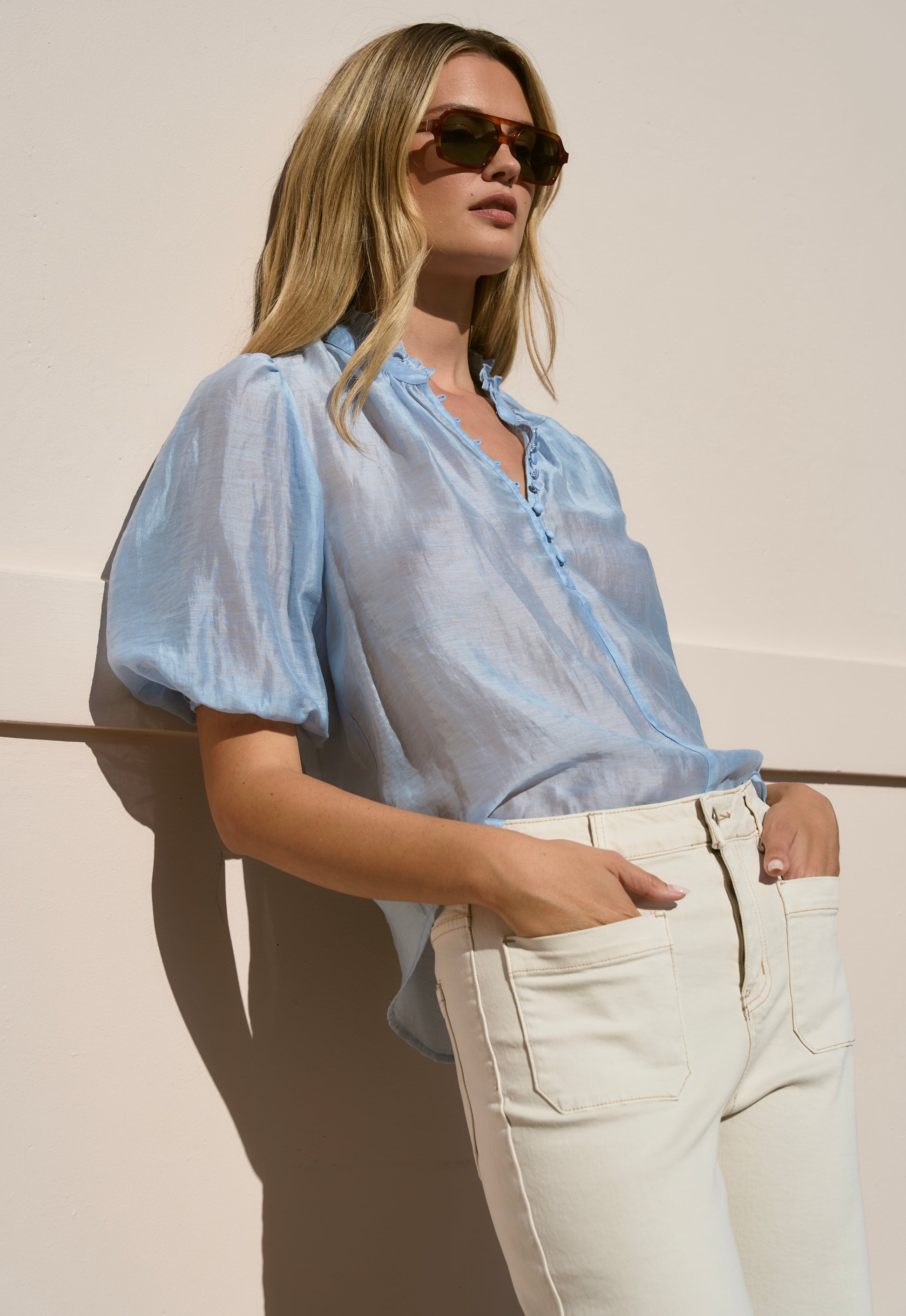 Closure Pale Blue Sheer High Neck Buttoned SS Top