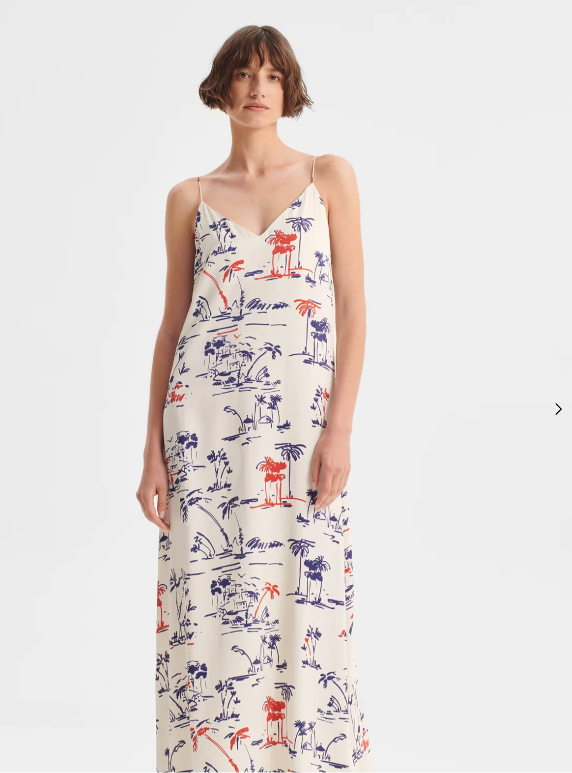 Capri Maxi Dress Morrison