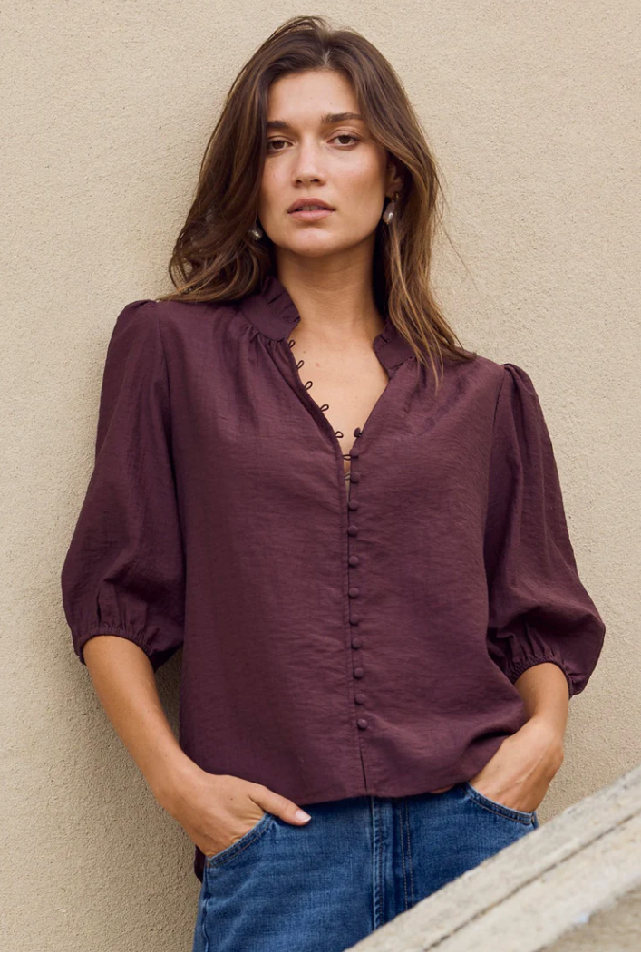 Continuance Chocolate Semi Sheer High Neck Buttoned Short Sleeve Top
