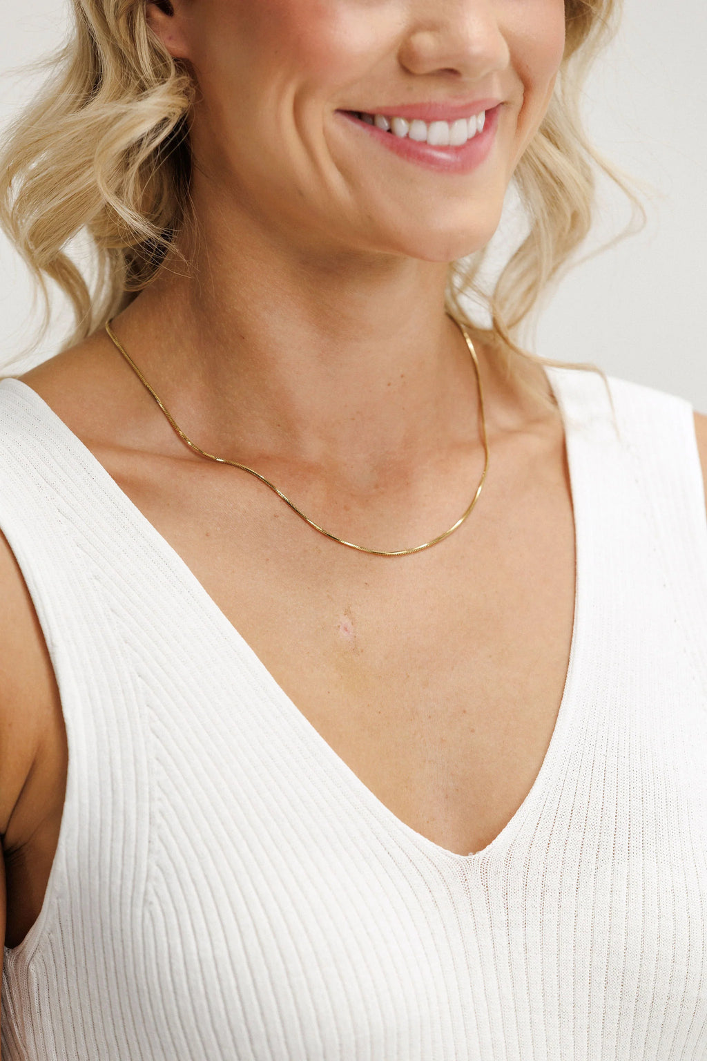 Snake Necklace Other Things