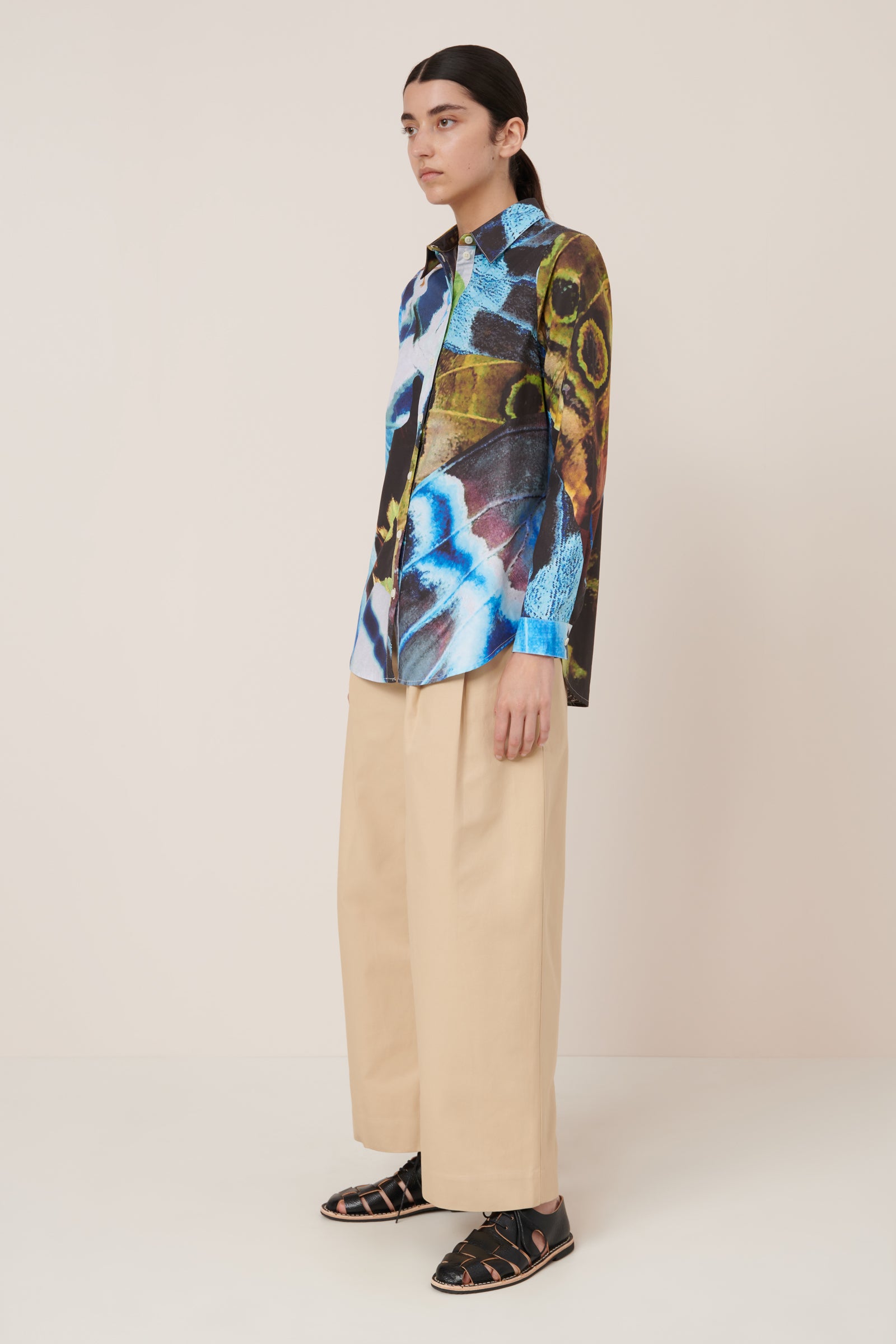 Classic Shirt Monarch