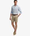 Premium Regular Chino Short - Superdry